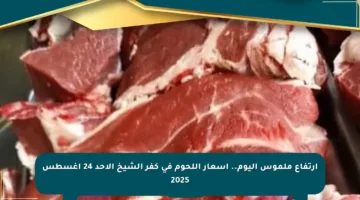 ارتفاع ملموس اليوم.. أسعار اللحوم في كفر الشيخ الأحد 24 أغسطس 2025